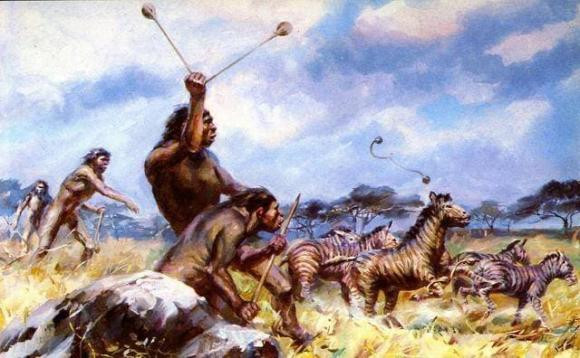 Có hàng triệu loài trên trái đất, tại sao chỉ mỗi con người cần mặc quần áo để giữ ấm? - Hình 4 Co hang trieu loai tren trai dat, tai sao chi moi con nguoi can mac quan ao de giu am?-Hinh-4