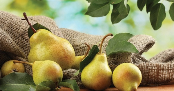 Loại quả là thần dược trị ho, ngon ngọt nhưng ít calo Loai qua la than duoc tri ho, ngon ngot nhung it calo
