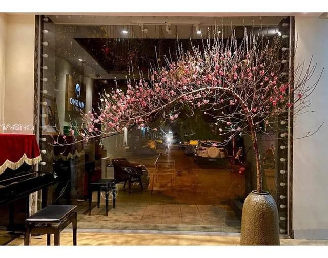 Chị em Hà thành chi tiền triệu mua củi khô, đào huyền để chơi Tết - Hình 2 Chi em Ha thanh chi tien trieu mua cui kho, dao huyen de choi Tet-Hinh-2