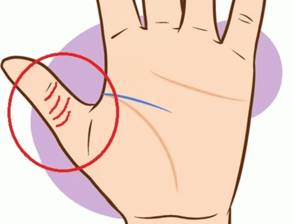 4 dấu hiệu này xuất hiện trong lòng bàn tay là bạn sẽ có nguồn tiền không ngừng - Hình 2 4 dau hieu nay xuat hien trong long ban tay la ban se co nguon tien khong ngung-Hinh-2