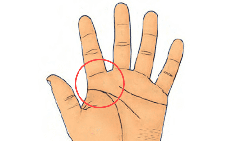 4 dấu hiệu này xuất hiện trong lòng bàn tay là bạn sẽ có nguồn tiền không ngừng 4 dau hieu nay xuat hien trong long ban tay la ban se co nguon tien khong ngung