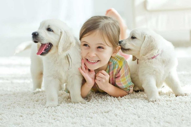Dấu hiệu ở trẻ mắc bệnh giun đũa Dau hieu o tre mac benh giun dua