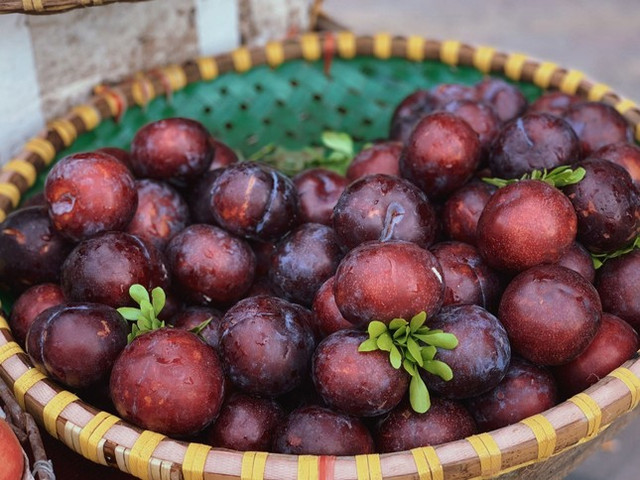 Hoa quả Trung Quốc ngập chợ Hà Nội, có loại xưng danh đắt nhất thế giới - Hình 2 Hoa qua Trung Quoc ngap cho Ha Noi, co loai xung danh dat nhat the gioi-Hinh-2