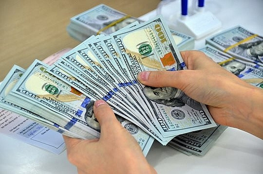 Tỷ giá USD hôm nay 29/6/2024: Đảo chiều, giảm nhẹ? Ty gia USD hom nay 29/6/2024: Dao chieu, giam nhe?