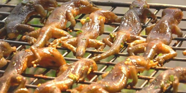 Chuồn chuồn rán giòn, tiết canh rắn và nhiều món Indonesia độc lạ - Hình 3 Chuon chuon ran gion, tiet canh ran va nhieu mon Indonesia doc la-Hinh-3