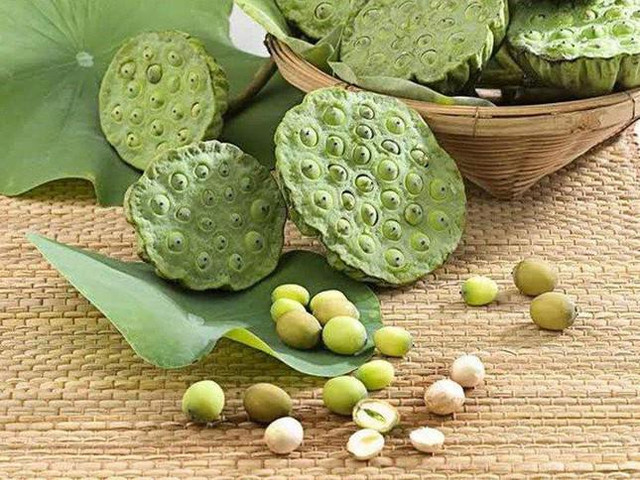 Dùng hạt sen chữa mất ngủ, cần lưu ý những đại kỵ sau - Hình 3 Dung hat sen chua mat ngu, can luu y nhung dai ky sau-Hinh-3