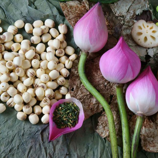 Dùng hạt sen chữa mất ngủ, cần lưu ý những đại kỵ sau Dung hat sen chua mat ngu, can luu y nhung dai ky sau