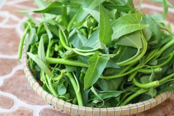 Rau muống phun đẫm hóa chất sẽ có đặc điểm này trên lá - Hình 4 Rau muong phun dam hoa chat se co dac diem nay tren la-Hinh-4