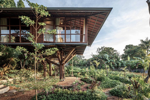 Ấn tượng vẻ đẹp xanh mát của ngôi nhà trên cây ở Bali An tuong ve dep xanh mat cua ngoi nha tren cay o Bali