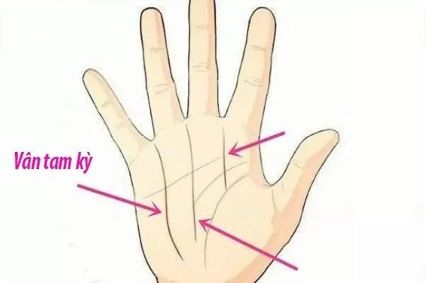 Đường chỉ tay đoán vận mệnh: 3 đường phú quý, 1 đường nghèo khó - Hình 3 Duong chi tay doan van menh: 3 duong phu quy, 1 duong ngheo kho-Hinh-3