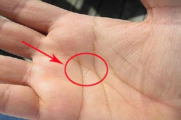 Đường chỉ tay đoán vận mệnh: 3 đường phú quý, 1 đường nghèo khó Duong chi tay doan van menh: 3 duong phu quy, 1 duong ngheo kho
