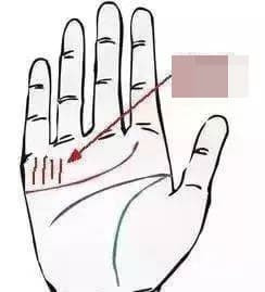 Với đường chỉ tay "phát tài phát lộc" này, bạn sẽ có số mệnh giàu sang - Hình 2 Voi duong chi tay