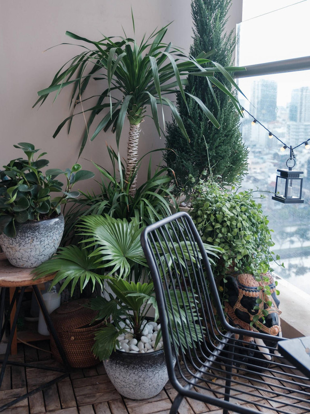 Những mẫu nhà cho gia đình 4 người với chi phí hoàn thiện khoảng 300 triệu đồng - Hình 21 Nhung mau nha cho gia dinh 4 nguoi voi chi phi hoan thien khoang 300 trieu dong-Hinh-21
