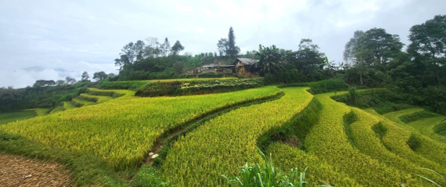 “Những chiếc thang tuyệt vời leo lên bầu trời Tây Bắc“ - Hình 6 “Nhung chiec thang tuyet voi leo len bau troi Tay Bac“-Hinh-6