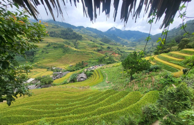 “Những chiếc thang tuyệt vời leo lên bầu trời Tây Bắc“ - Hình 3 “Nhung chiec thang tuyet voi leo len bau troi Tay Bac“-Hinh-3