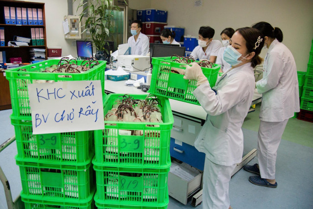 Chuyến bay lúc 1h sáng mang theo 1.000 đơn vị máu chi viện TP.HCM Chuyen bay luc 1h sang mang theo 1.000 don vi mau chi vien TP.HCM