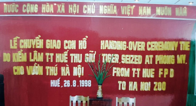 Hình ảnh hiếm giải cứu "chúa sơn lâm" xứ Huế - Hình 11 Hinh anh hiem giai cuu
