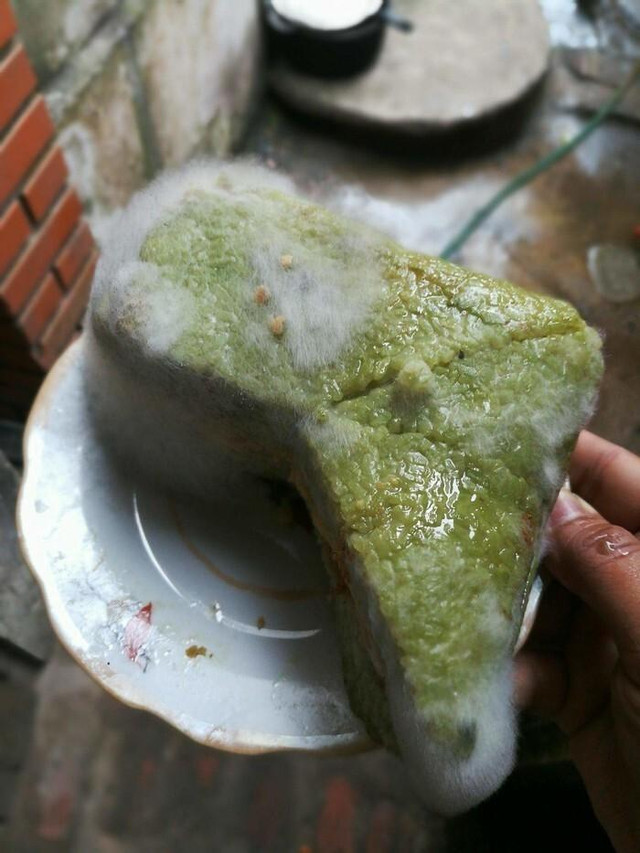 Trở lại phòng trọ sau Tết, sinh viên "xỉu ngang, xỉu dọc" vì ám ảnh - Hình 8 Tro lai phong tro sau Tet, sinh vien