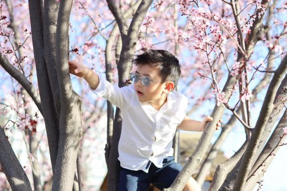 Loạt ảnh đáng yêu của con trai Đan Trường ra dáng soái ca nhí, dân tình xuýt xoa - Hình 3 Loat anh dang yeu cua con trai Dan Truong ra dang soai ca nhi, dan tinh xuyt xoa-Hinh-3