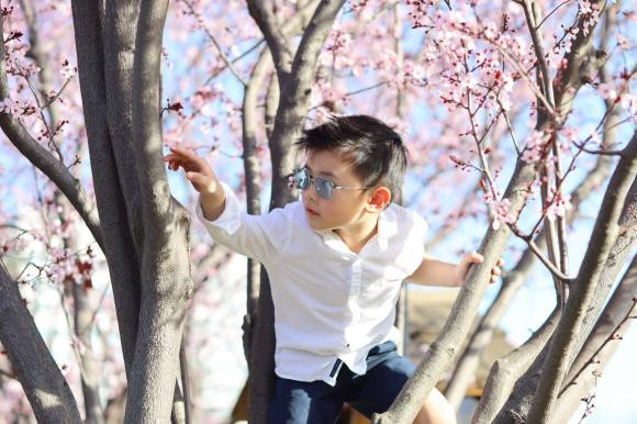 Loạt ảnh đáng yêu của con trai Đan Trường ra dáng soái ca nhí, dân tình xuýt xoa Loat anh dang yeu cua con trai Dan Truong ra dang soai ca nhi, dan tinh xuyt xoa