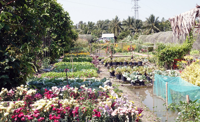 Cô gái 25 tuổi dựng khu vườn 1500m2 như cổ tích - Hình 4 Co gai 25 tuoi dung khu vuon 1500m2 nhu co tich-Hinh-4