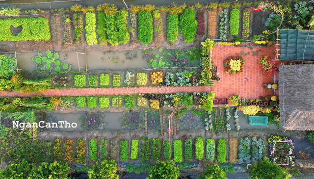 Cô gái 25 tuổi dựng khu vườn 1500m2 như cổ tích - Hình 10 Co gai 25 tuoi dung khu vuon 1500m2 nhu co tich-Hinh-10