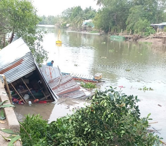 Cần Thơ: Nhiều hộ dân phải "chạy" sạt lở Can Tho: Nhieu ho dan phai