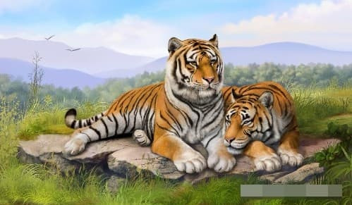 4 con giáp sinh vào những giờ sau đây sẽ có số mệnh vinh hoa phú quý - Hình 3 4 con giap sinh vao nhung gio sau day se co so menh vinh hoa phu quy-Hinh-3