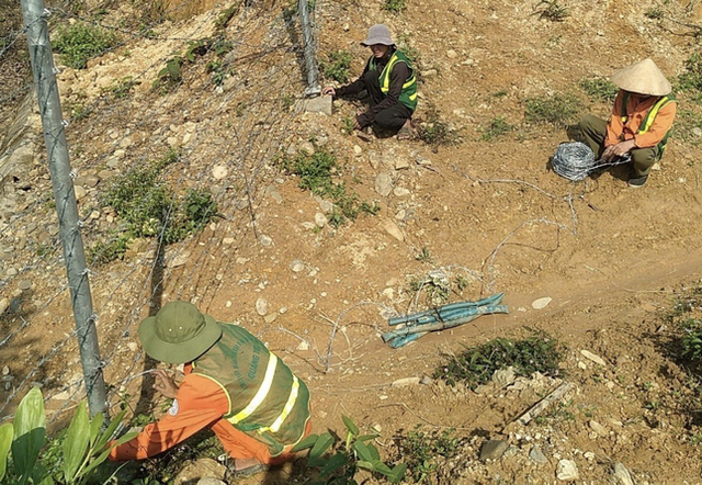 Cao tốc Cam Lộ - La Sơn lại bị tháo hàng rào tạo lối đi - Hình 6 Cao toc Cam Lo - La Son lai bi thao hang rao tao loi di-Hinh-6