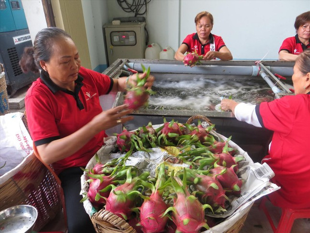 Xuất khẩu nông sản sang Trung Quốc: Chuẩn bị cho "cuộc chơi" mới Xuat khau nong san sang Trung Quoc: Chuan bi cho