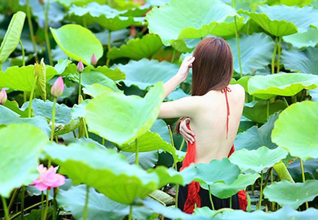 Hồ sen mùa hè nóng rực vì nhiều chị em hồn nhiên mặc không nội y - Hình 17 Ho sen mua he nong ruc vi nhieu chi em hon nhien mac khong noi y-Hinh-17