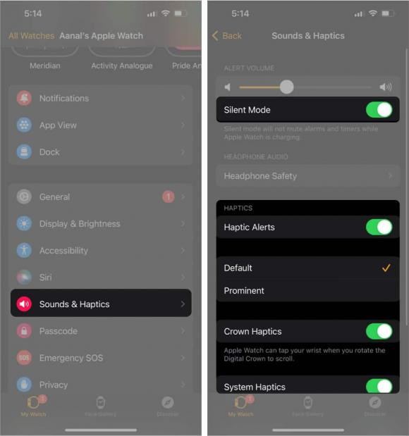 8 mẹo đơn giản giúp cải thiện thời lượng pin cho Apple Watch - Hình 5 8 meo don gian giup cai thien thoi luong pin cho Apple Watch-Hinh-5