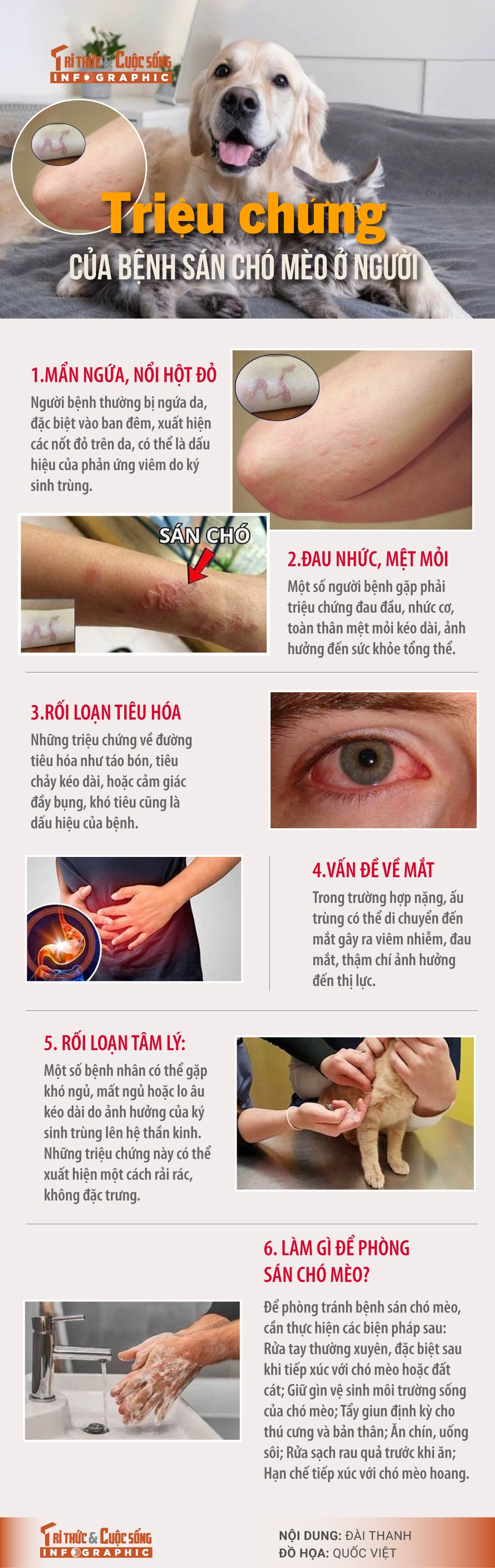 Bệnh giun sán gia tăng tại Khánh Hòa, nguy cơ từ nuôi chó mèo | Báo Tri ...