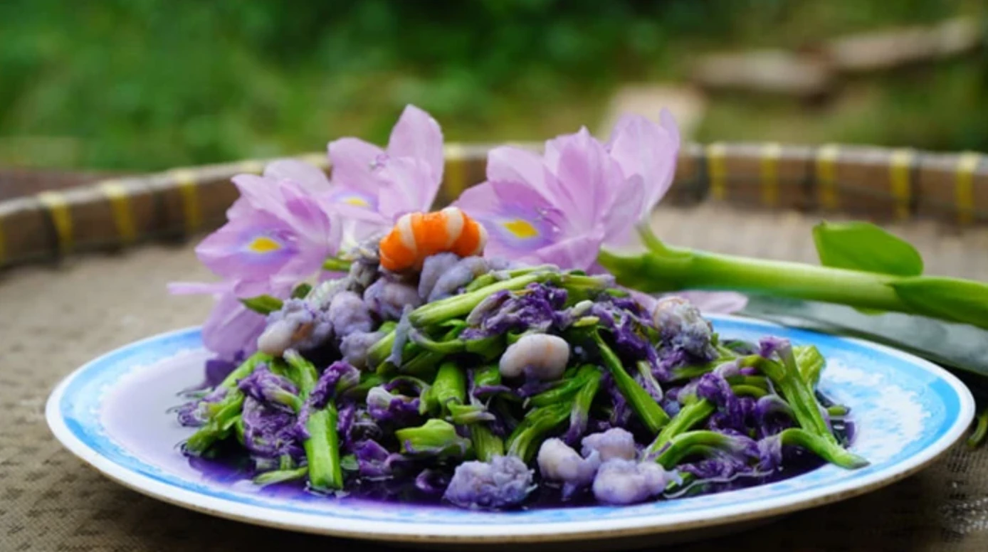 Loài cỏ dại trước dành cho lợn, nay thành đặc sản dinh dưỡng cao