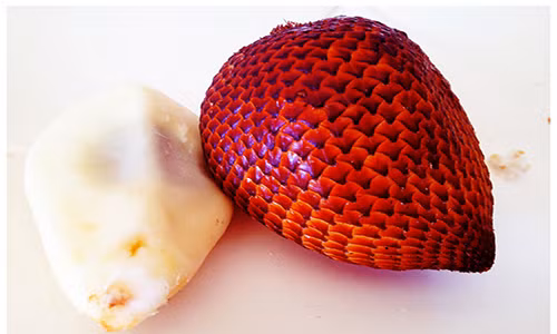 Những loại quả kỳ lạ của châu Á không phải ai cũng biết