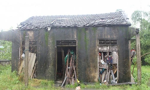 Cuộc sống như thời nguyên thủy của ba mẹ con “người rừng” ở Huế