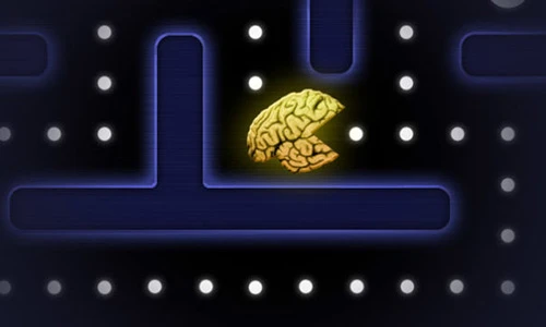 Bất ngờ ảnh hưởng của thực phẩm đến não bộ