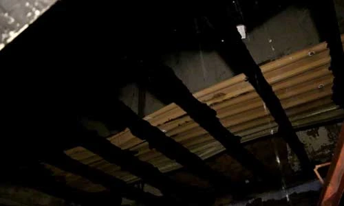 Cháy trại hòm lúc nửa đêm, 4 người trong gia đình tử vong