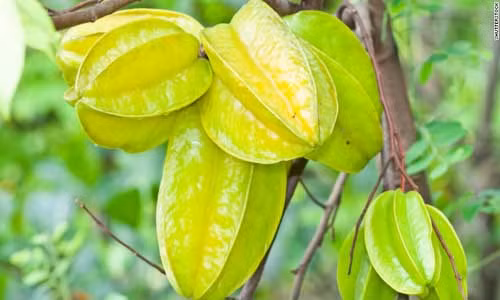 Điểm mặt loạt rau củ quả chứa sẵn độc tố giết người 