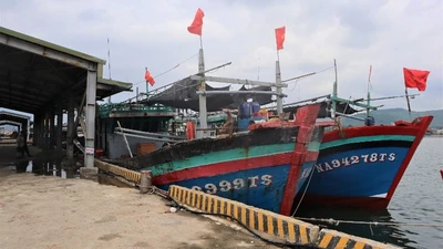 Nghệ An cấm các loại tàu, thuyền ra khơi từ 5h sáng ngày 24/8