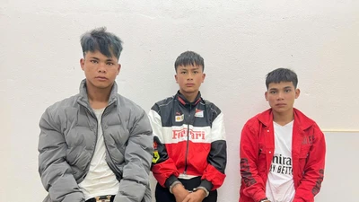 Bắt 3 đối tượng nhổ trộm gần 300 gốc sâm Ngọc Linh ở Đà Nẵng