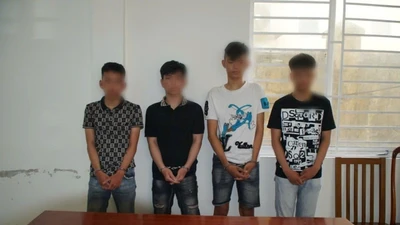 Bắt nhóm thanh thiếu niên thủ sẵn hung khí, tháo biển số xe đi cướp tài sản 
