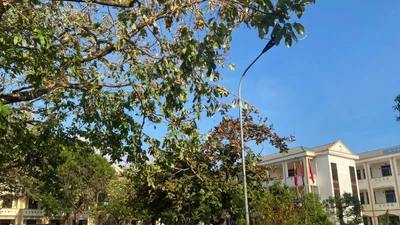Nghệ An chi hơn 30 tỷ đồng hỗ trợ nhà trường dạy học thêm