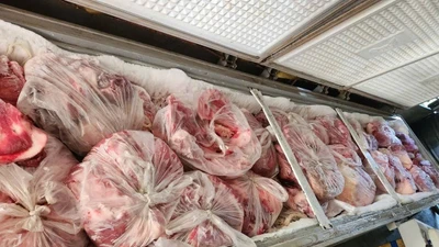 Phát hiện gần 1 tấn thịt lợn dịch được cấp đông tại nhà dân ở Nghệ An