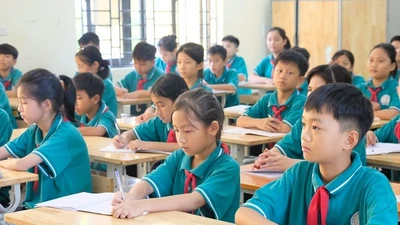 Nghệ An, Hà Tĩnh hoãn tựu trường vì bão Kajiki, chuẩn bị ứng phó mưa lớn