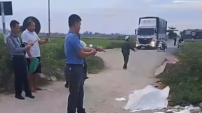 Người phụ nữ bán cá băng qua đường bị tàu hỏa tông tử vong