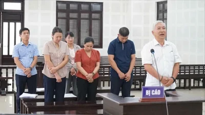 Nguyên Giám đốc Cảng vụ Hàng hải Quảng Nam cùng thuộc cấp lĩnh án 