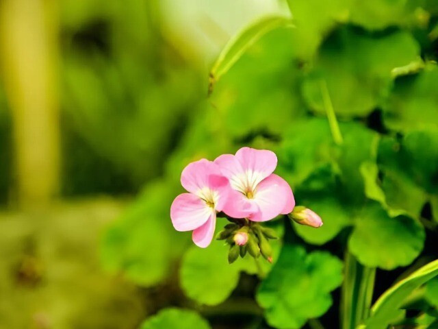 Người khôn ngoan biết 5 điều mang lại lợi ích cả đời