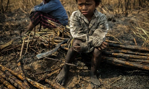 Rớt nước mắt hình ảnh trẻ em khắp thế giới mưu sinh