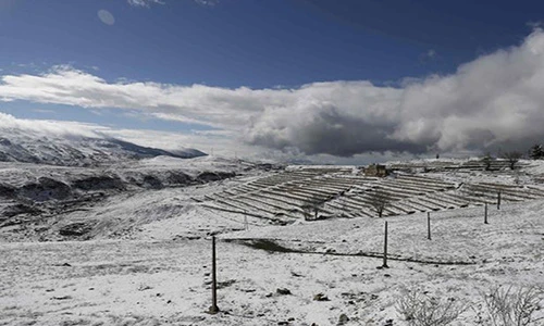 Kinh ngạc tuyết phủ trắng sa mạc ở Trung Đông